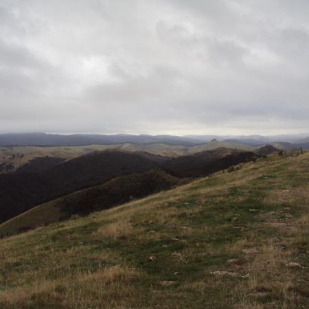 Estancia Farm Stay Masterton Bagian luar foto