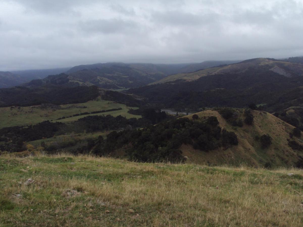 Estancia Farm Stay Masterton Bagian luar foto
